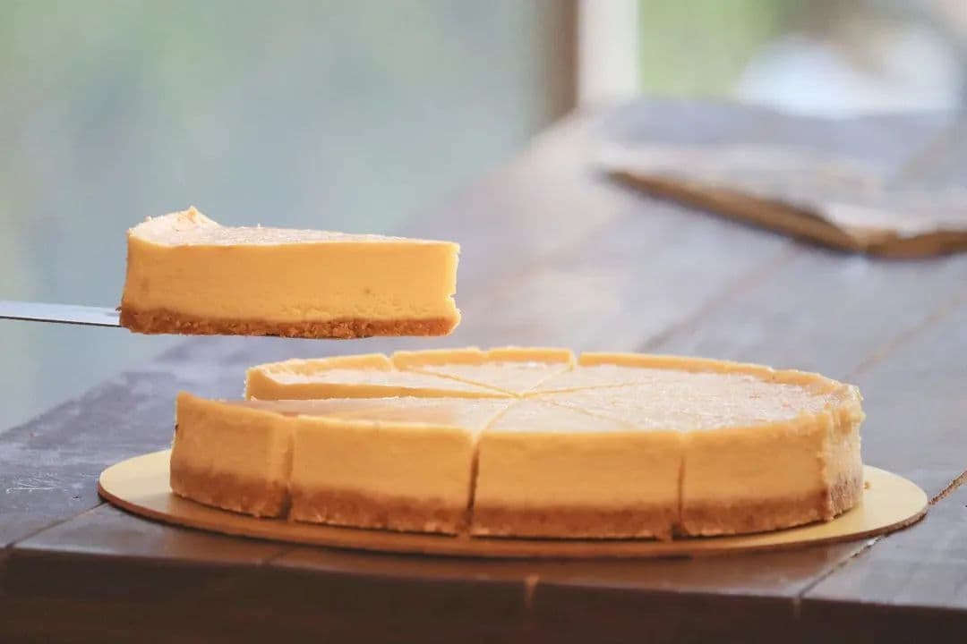 Cheesecake, shot by P2V Labs in Ahmedabad